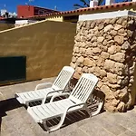 7 Palmeras *