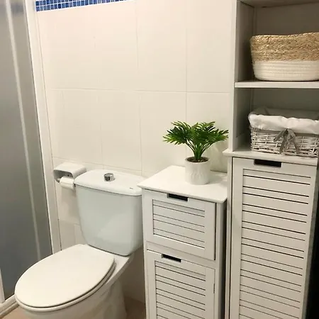 7 Palmeras