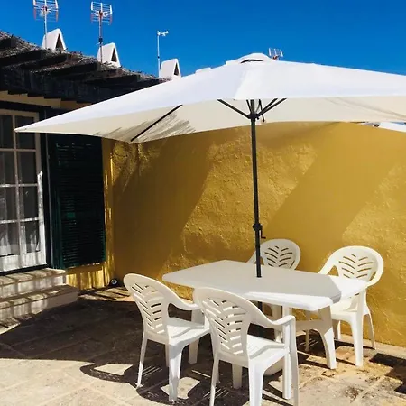 7 Palmeras *